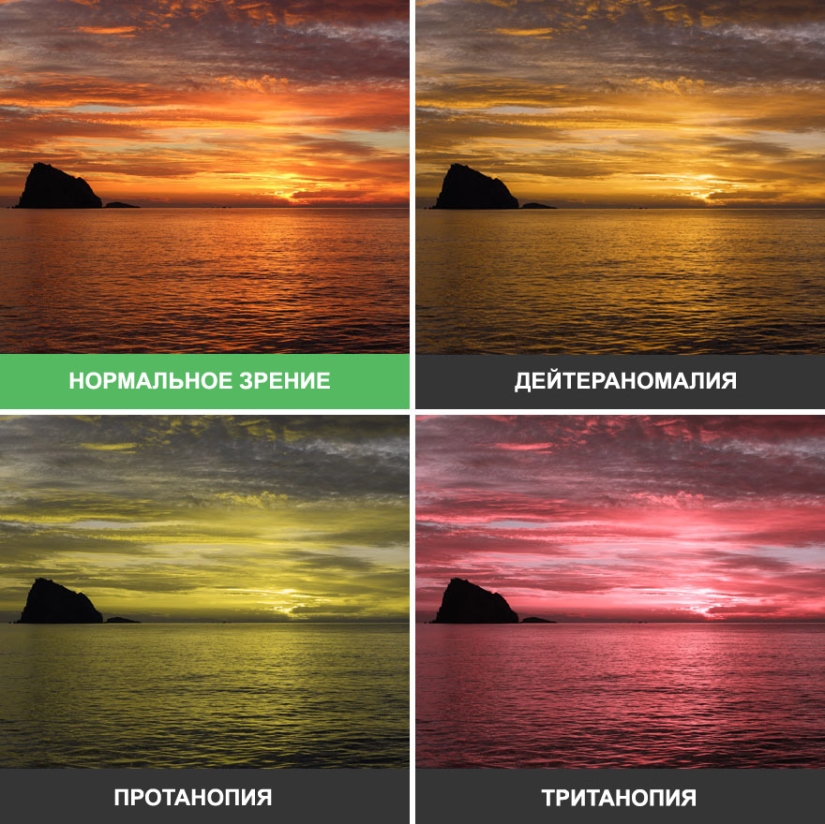 What the world looks like through the eyes of the colorblind