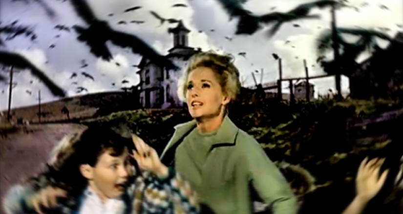 When classic Horror comes to life: the inexplicable invasion of black birds in Texas