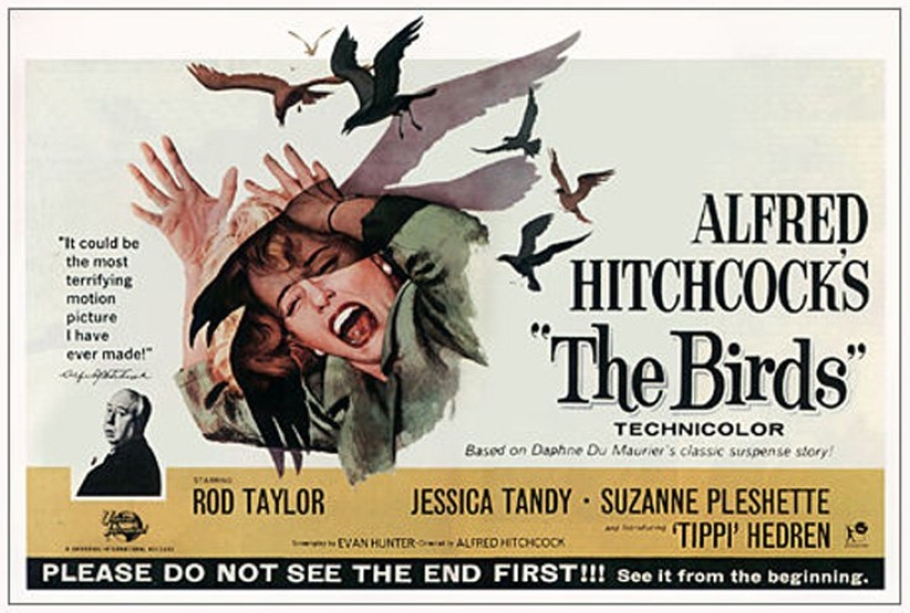 When classic Horror comes to life: the inexplicable invasion of black birds in Texas