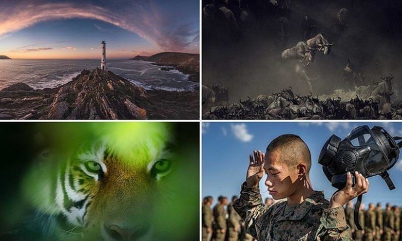 Which of these photos will be the best? Works from the Smithsonian Photo Contest 2018