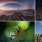 Which of these photos will be the best? Works from the Smithsonian Photo Contest 2018