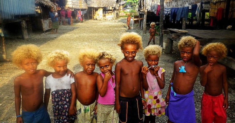 Why are dark-skinned blondes born in the Solomon Islands