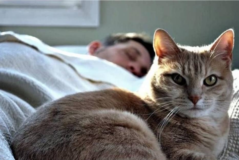 Why do cats like to sleep with women and not with men