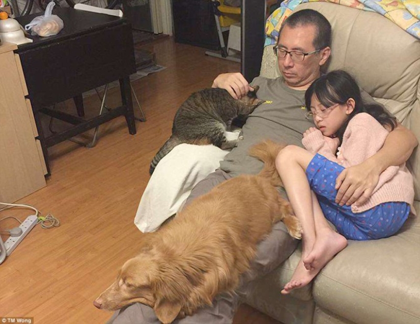 Why do father, daughter, dog and cat take the same photo every year for a decade