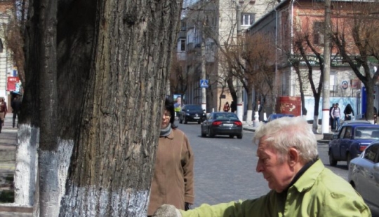 Why Do People Paint Tree Trunks White? Why Do People Paint Tree Trunks White?