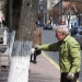 Why Do People Paint Tree Trunks White?