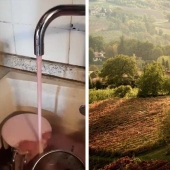 Why in Italy wine flowed from the taps instead of water