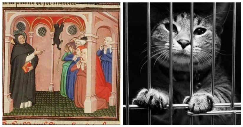 Why the Catholic Church dislikes cats