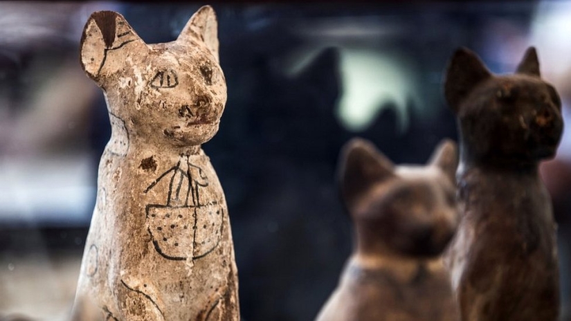 Why were cats so loved and revered in ancient Egypt?