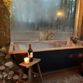 Wild night: a stunning hotel has opened in Kent, where you can relax next door to the lions