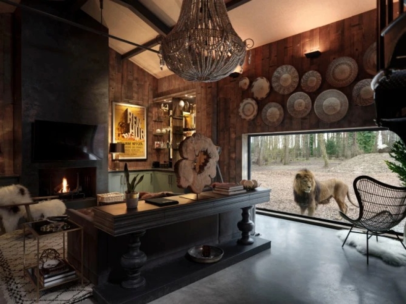 Wild night: a stunning hotel has opened in Kent, where you can relax next door to the lions