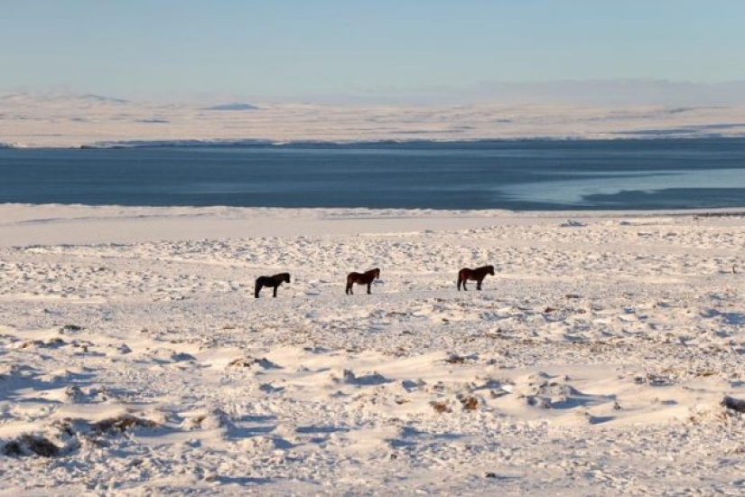 Winter in Iceland: photos with stunning landscapes