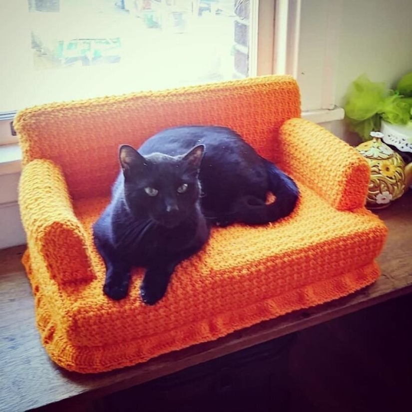 With your own hands: funny knitted couches for cats