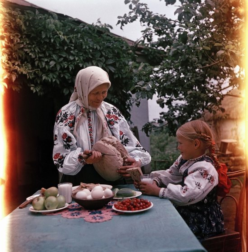 Working life: unknown color photos of everyday life in the USSR 1950s