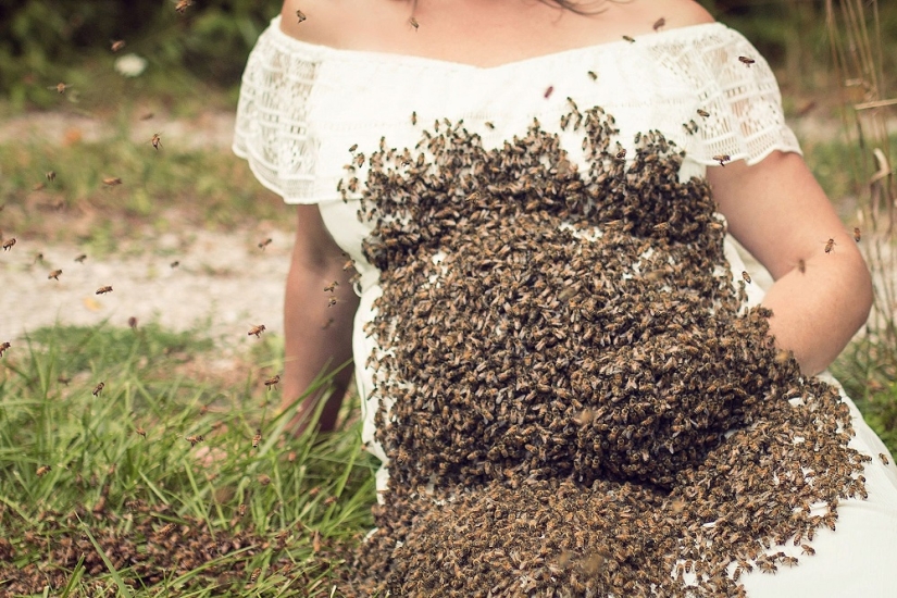 Zhu-zhu-creepy shots: a pregnant American woman arranged a photo shoot with a swarm of bees