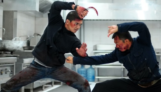 10 Amazing Martial Arts Movies and TV Shows to Watch if you Love Max's Warrior