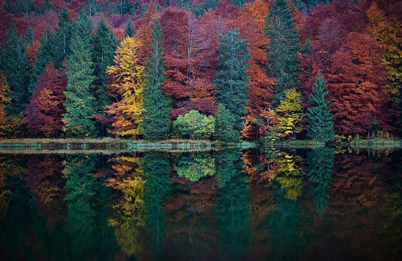 10 autumn photos that have become blog hits