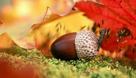 10 autumn photos that have become blog hits 10 autumn photos that have become blog hits