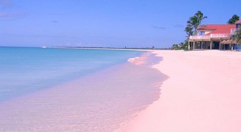 10 beaches where you can do without pink glasses