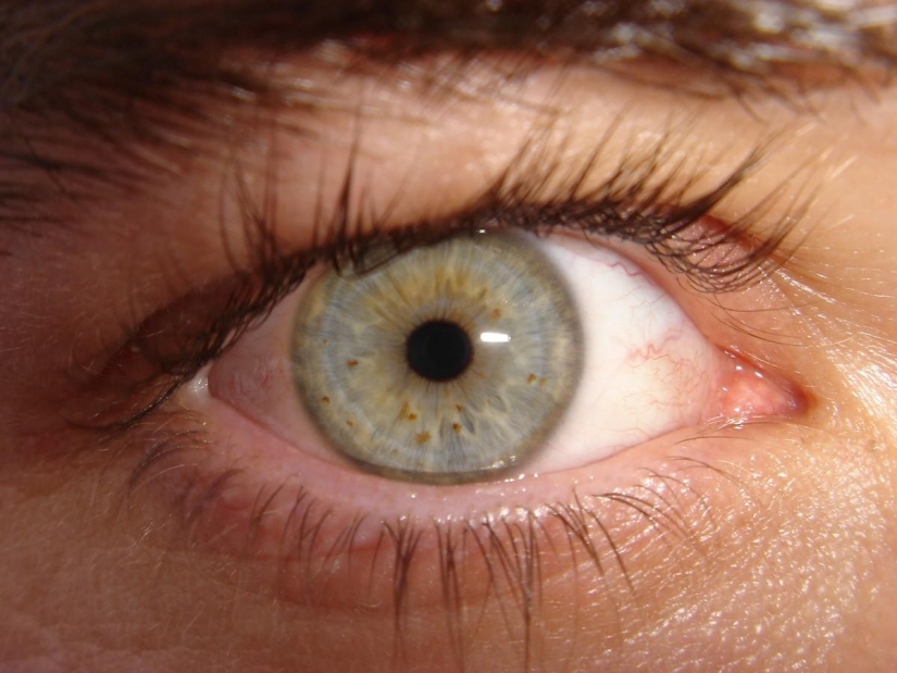 10 consejos sobre cómo proteger la vista