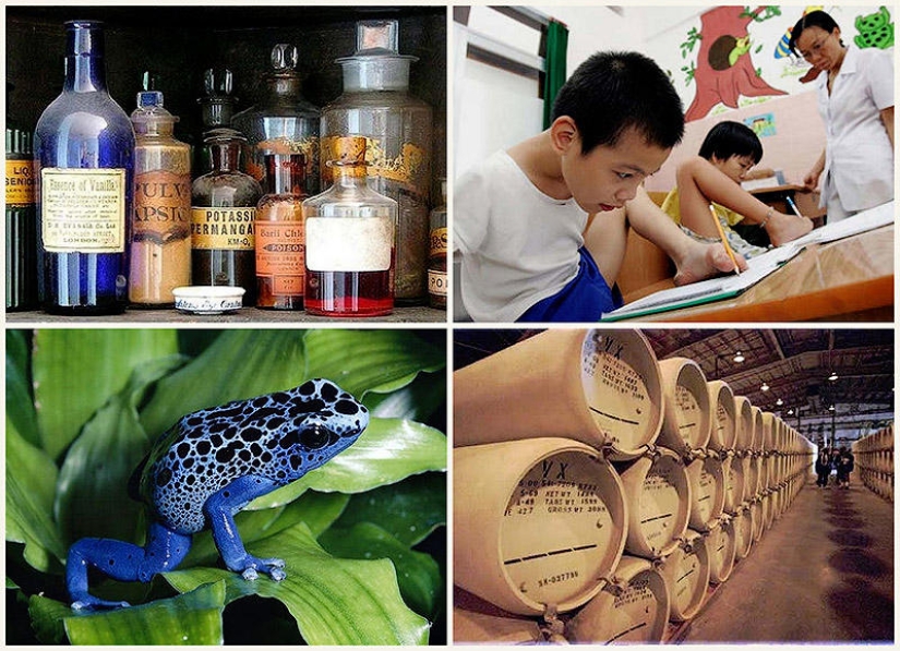 10 facts about poisons that will amaze you