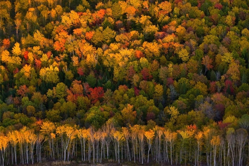 10 fotos de otoño que se han convertido en hits de blog