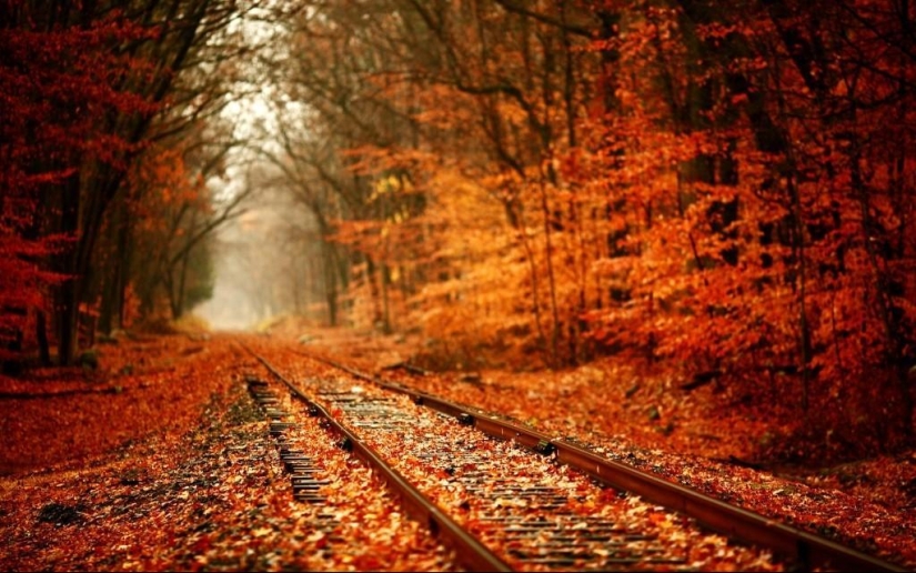 10 fotos de otoño que se han convertido en hits de blog