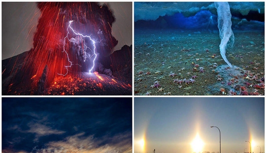 10 funny natural phenomena