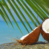 10 hechos sorprendentes sobre los cocos