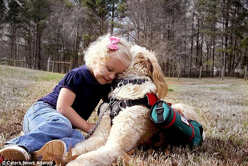 10 historias más conmovedoras de comunicación entre niños y animales