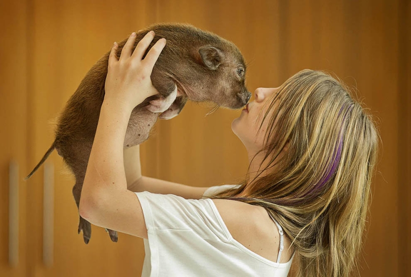 10 historias más conmovedoras de comunicación entre niños y animales