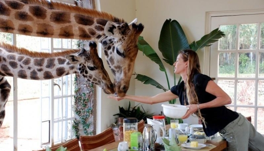 10 hoteles con servicios adicionales únicos