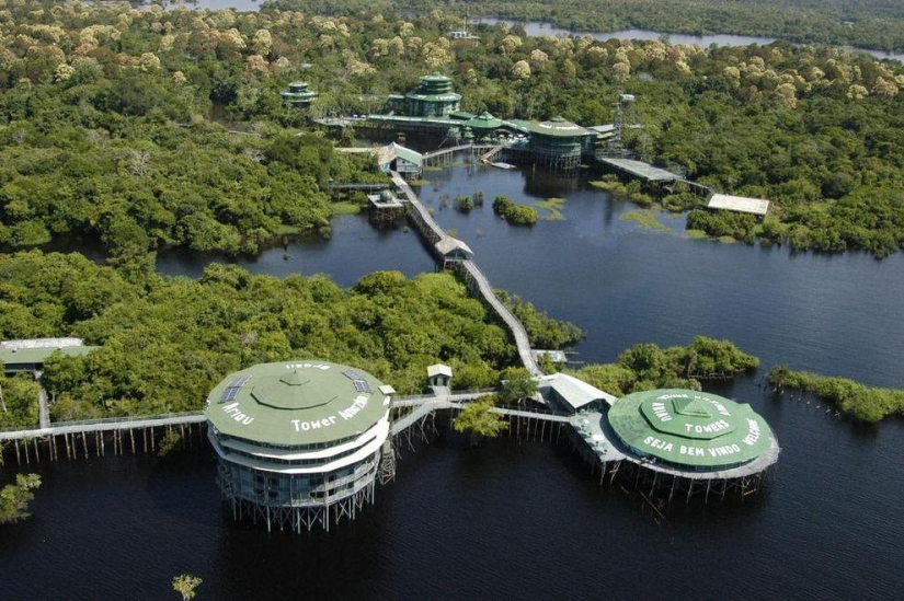 10 hoteles más increíbles en los árboles
