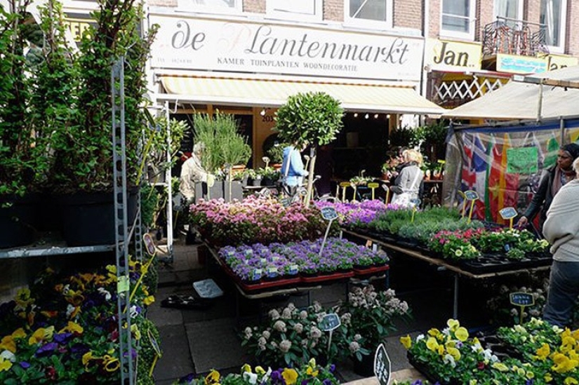 10 lugares de Ámsterdam a los que van los propios habitantes de Ámsterdam