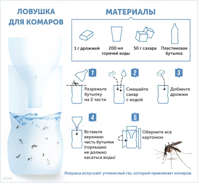 10 maneras de combatir los mosquitos y sus picaduras
