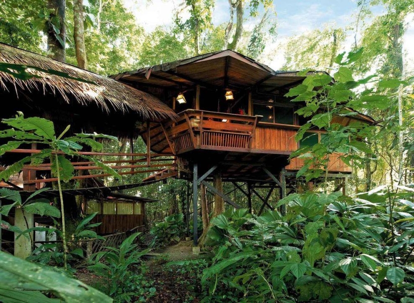 10 most amazing hotels in the trees