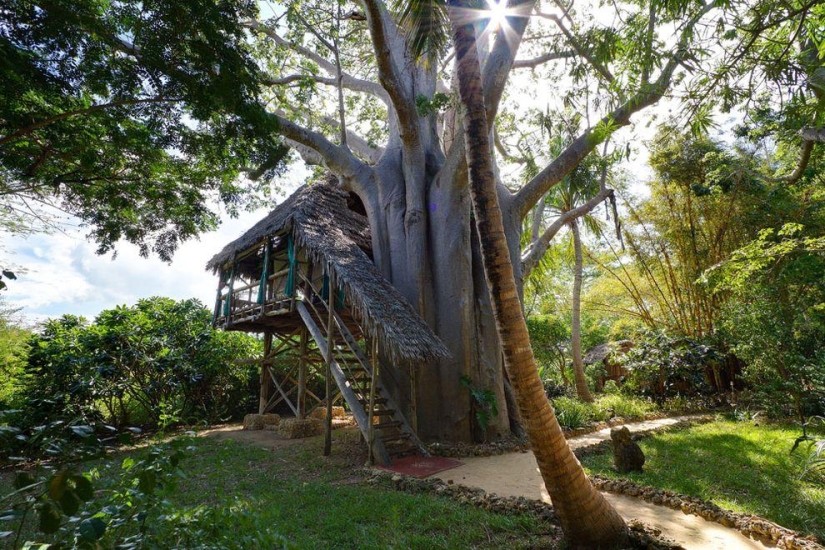 10 most amazing hotels in the trees