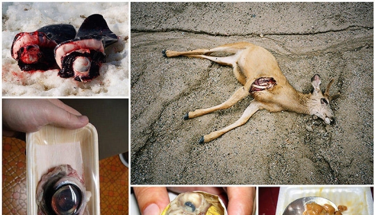 10 most disgusting dishes 10 most disgusting dishes