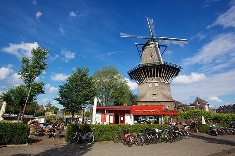 10 places in Amsterdam where Amsterdammers themselves go