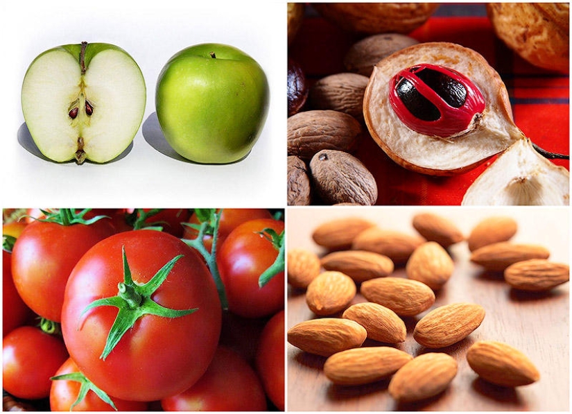 10 Poisonous Fruits and Vegetables We Eat Every Day