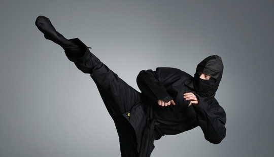 10 Real Ninja Secret Moves