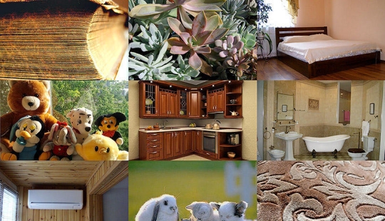 10 sources of allergies in your home 10 sources of allergies in your home