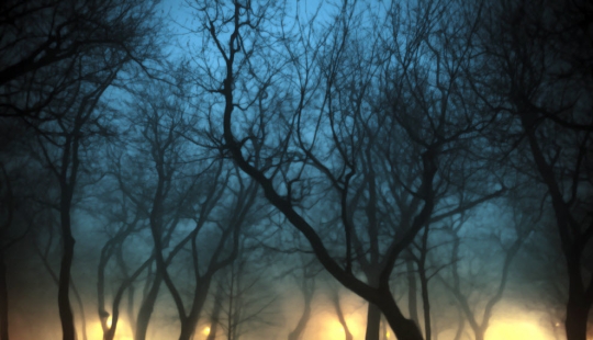 100 amazing photos of the mist (part 1)