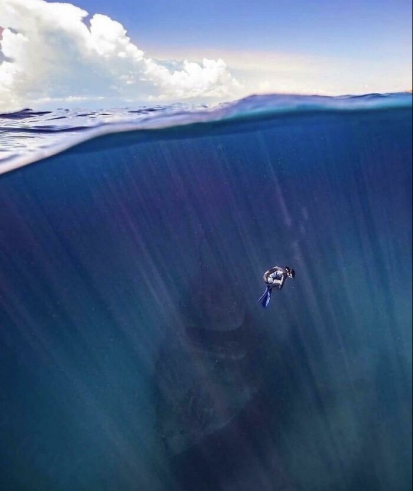 12 fotos aterradoras que nos hacen querer permanecer lo más lejos posible del océano