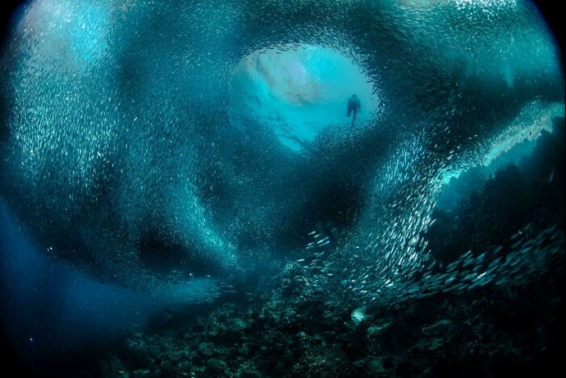 12 fotos aterradoras que nos hacen querer permanecer lo más lejos posible del océano