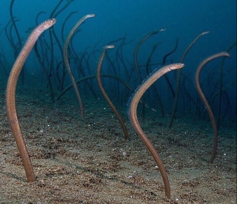 12 Frightening Pics That Make Us Want To Stay As Far Away From The Ocean As Possible