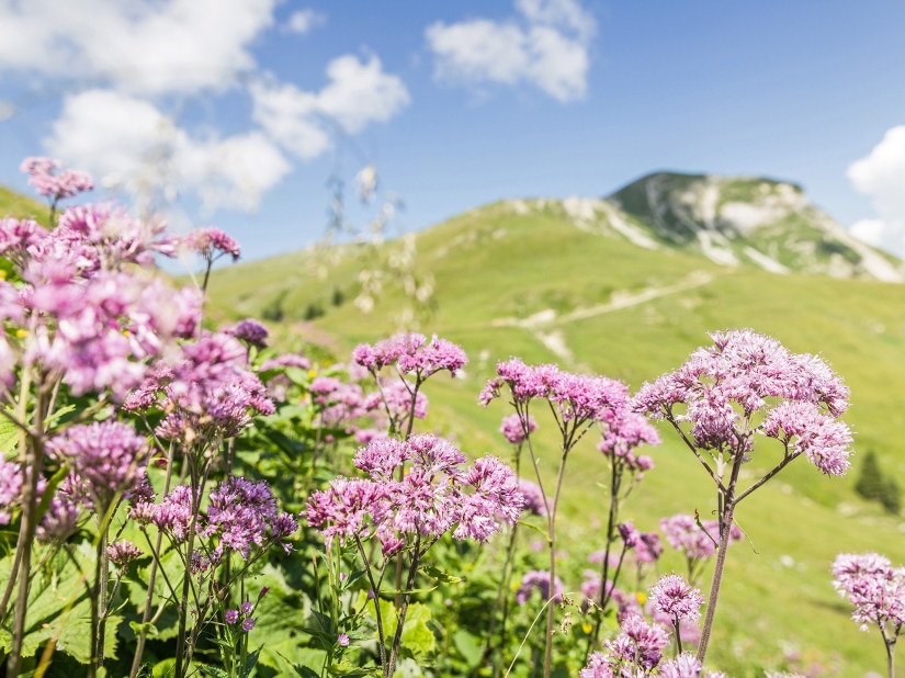 12 photos that will make you visit Austria