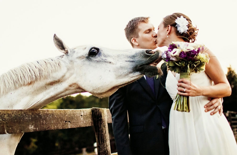 12 wedding photos that were ruined by some brute