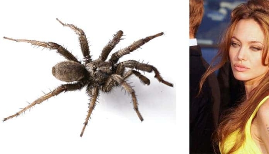 13 Animals With Celebrity Names You Never Knew Existed
