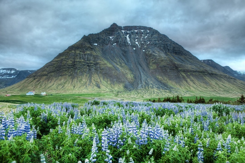 13 datos sorprendentes sobre Islandia que no sabías